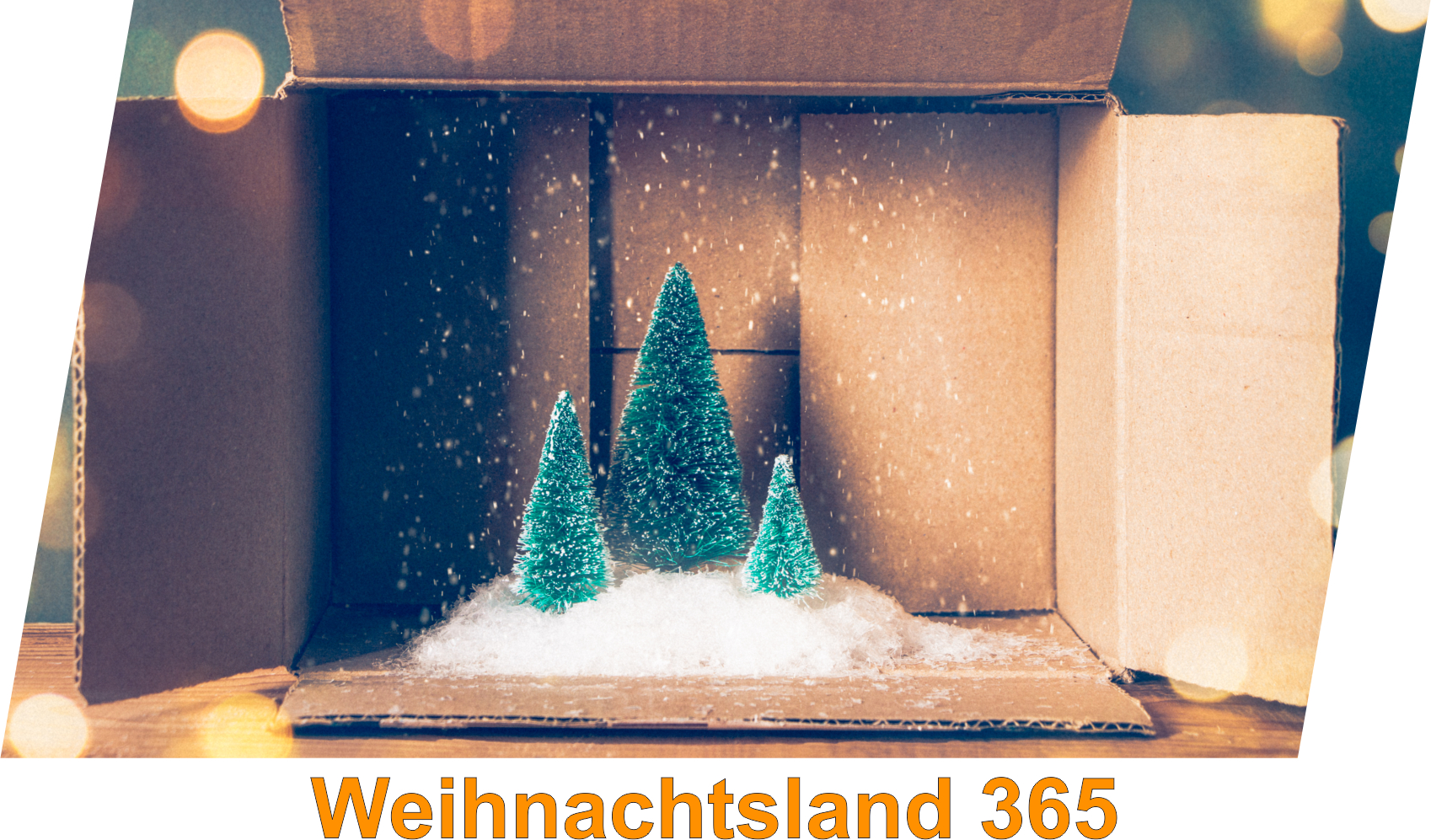 Direkt zum Weihnachtsland 365