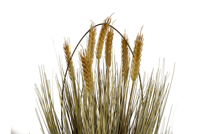 EUROPALMS Weizen erntereif, künstlich, 60cm