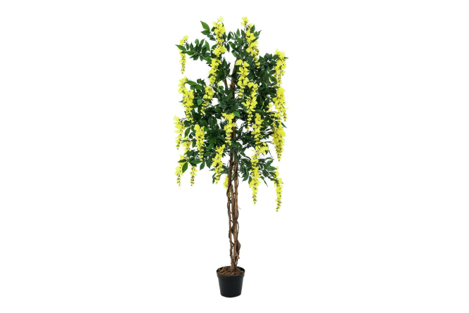 EUROPALMS Goldregenbaum, Kunstpflanze, gelb, 180cm