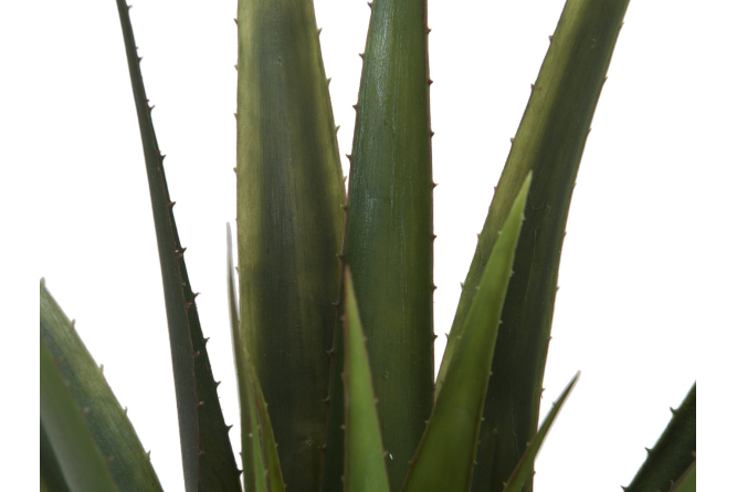 EUROPALMS Aloe-Vera Pflanze, Kunstpflanze, 60cm