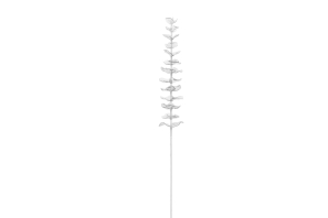EUROPALMS Kristalleukalyptus, Kunstpflanze, transparent, 81cm 12x