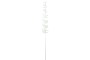 EUROPALMS Kristalleukalyptus, Kunstpflanze, weiß, 81cm 12x