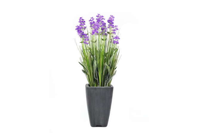 EUROPALMS Lavendel, Kunstpflanze, lila, im Dekotopf, 45cm