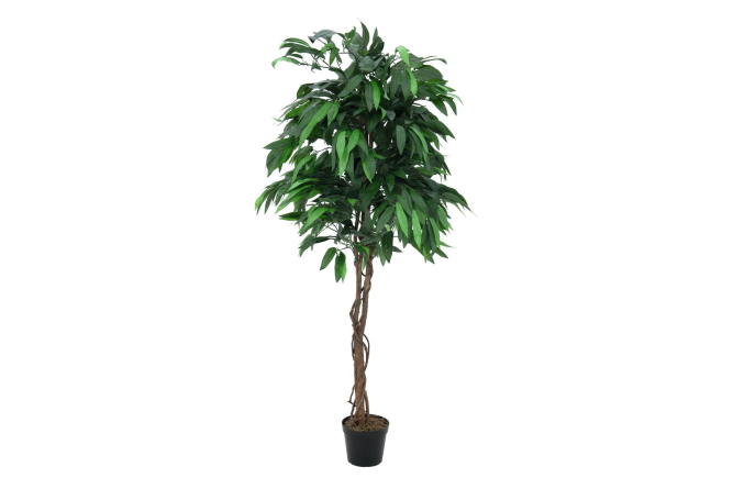 EUROPALMS Dschungelbaum Mango, Kunstpflanze, 180cm