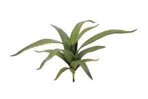 EUROPALMS Aloe (EVA), künstlich, grün, 66cm