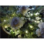 LED Deko-String ca. 5m mit 50 LEDs (warmweiss) und...