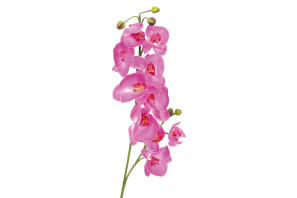 EUROPALMS Orchideenzweig, künstlich, lila, 100cm