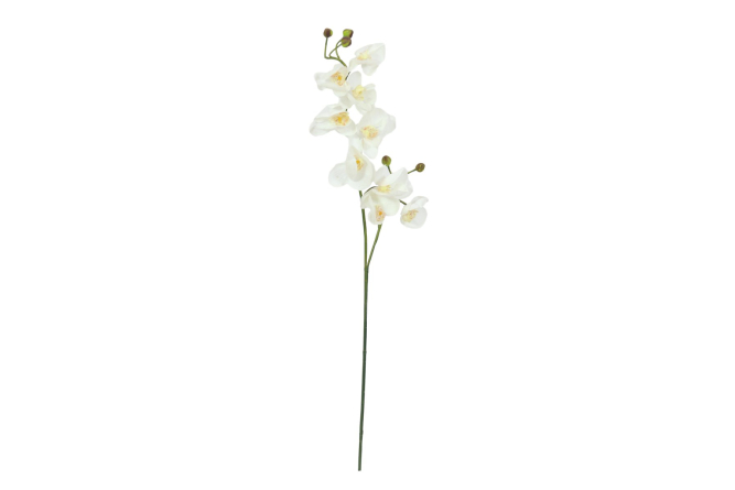 EUROPALMS Orchideenzweig, künstlich,...