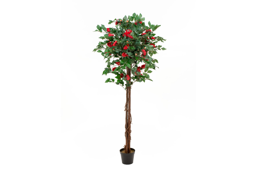 EUROPALMS Kamelienbaum rot mit Topf, Kunstpflanze, 180cm