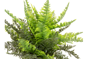 EUROPALMS Farnbusch im Dekotopf, Kunstpflanze, 51 Blätter, 48cm