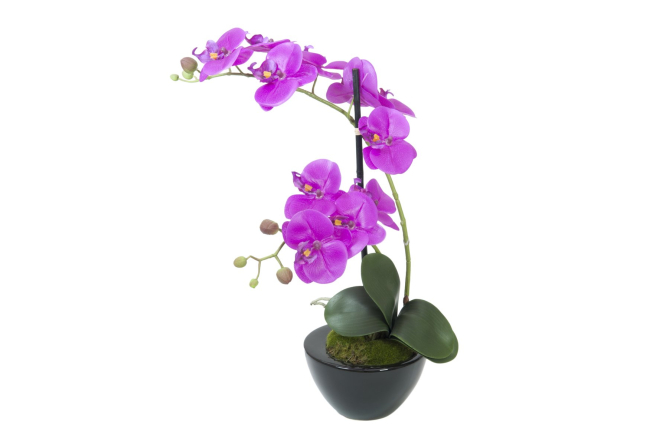 EUROPALMS Orchideen-Arrangement 4, künstlich