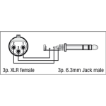 DAP XLR (w) auf 6,3 mm Klinke (m) Adapter