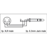 DAP XLR male auf Klinke Stereo Adapter