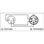 DAP XLR-Adapter 5-pol Buchse auf 3-pol Stecker