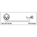 DAP - XGA33 - Adapter XLR 3P female auf RCA Cinch female