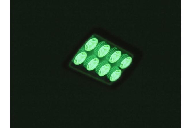 EUROLITE LED IP FL-8 grün 30°