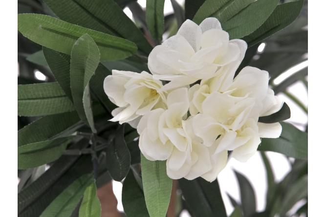 EUROPALMS Oleanderbaum, Kunstpflanze, weiß, 120 cm