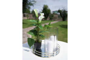 EUROPALMS Calla mini, Kunstpflanze, weiß, 43cm