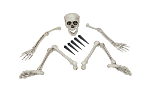 EUROPALMS Halloween Skelett, mehrteilig
