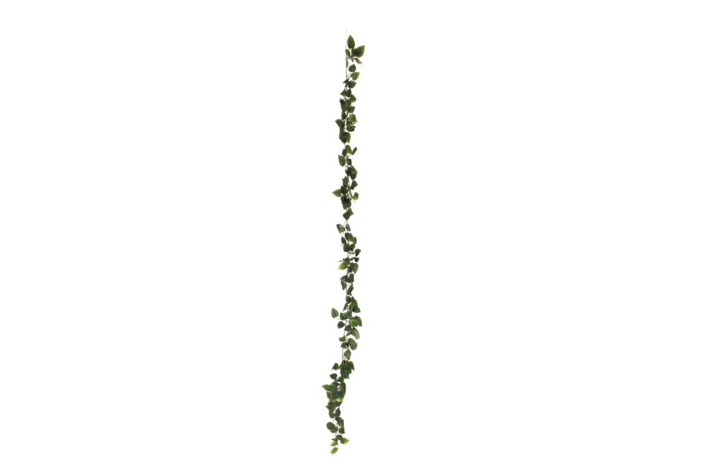 EUROPALMS Philodendrongirlande Classic , künstlich, 180cm