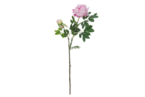 EUROPALMS Pfingstrosenzweig Premium, Kunstpflanze, pink, 100cm