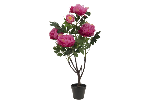 EUROPALMS Pfingstrose, rosé, Kunstpflanze, 90cm