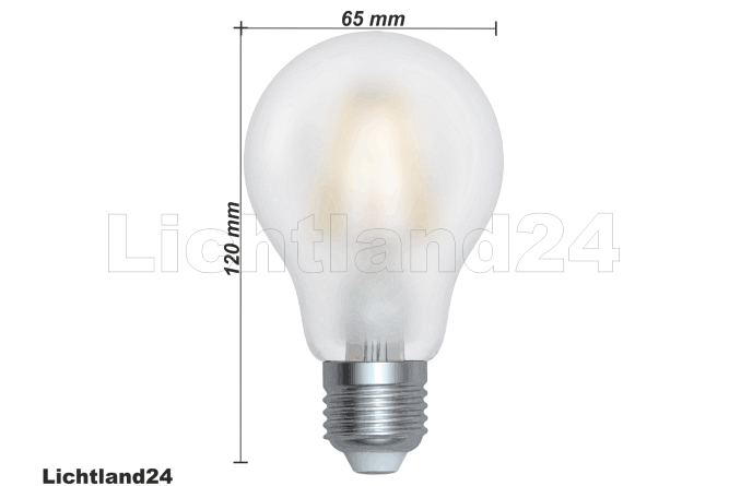 LED Filament A65 Birne OPAL E27 10W 6400K hellweiß...