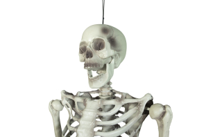 EUROPALMS Halloween Skelett, 150 cm
