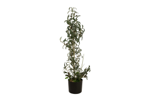 EUROPALMS Olivenbäumchen, Kunstpflanze, 104 cm
