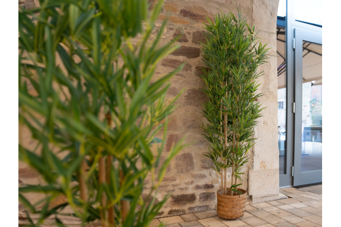 EUROPALMS Bambus deluxe, Kunstpflanze, 120cm