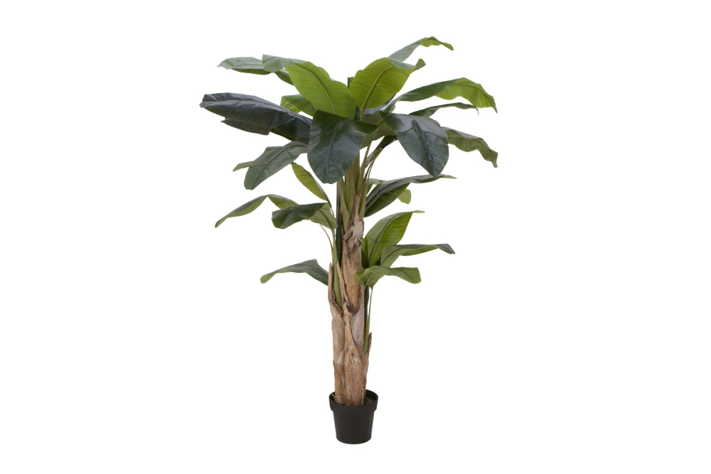 EUROPALMS Bananenbaum, Kunstpflanze, 170cm