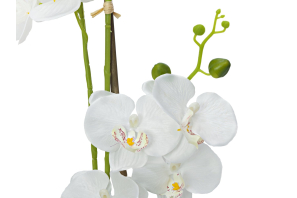 EUROPALMS Orchidee, Kunstpflanze, weiß, 80cm