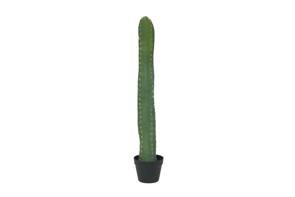 EUROPALMS Mexikanischer Kaktus, Kunstpflanze, grün, 97cm
