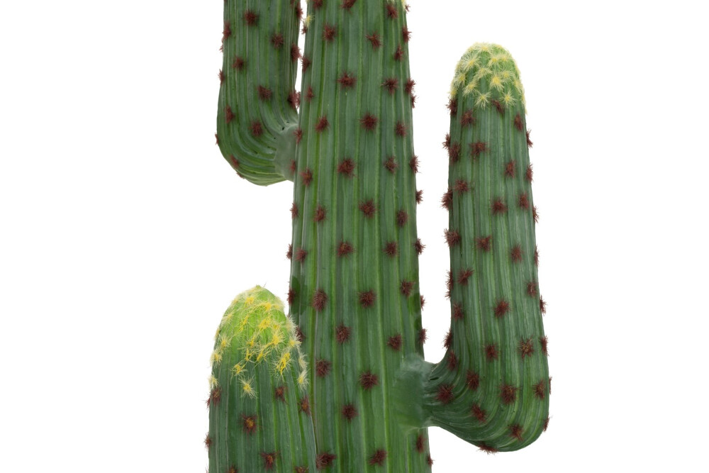 EUROPALMS Mexikanischer Kaktus, Kunstpflanze, grün, 173cm - Dein Shop, €  221,64