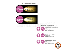 E27 City LED - 1 Watt ST44 Lang-Tropfenlampe Filament warmweiß 2200K (vergl. +8W)