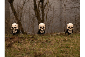 EUROPALMS Halloween Totenköpfe mit Erdspieß, 3er-Set, 29cm
