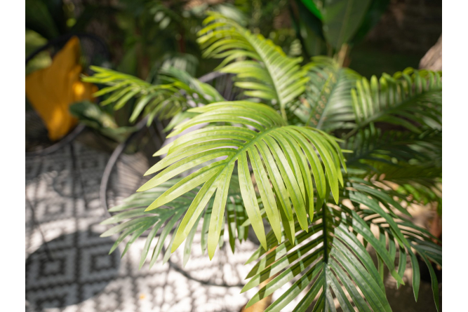 EUROPALMS Areca Palme, 3-stämmig, Kunstpflanze, 150cm