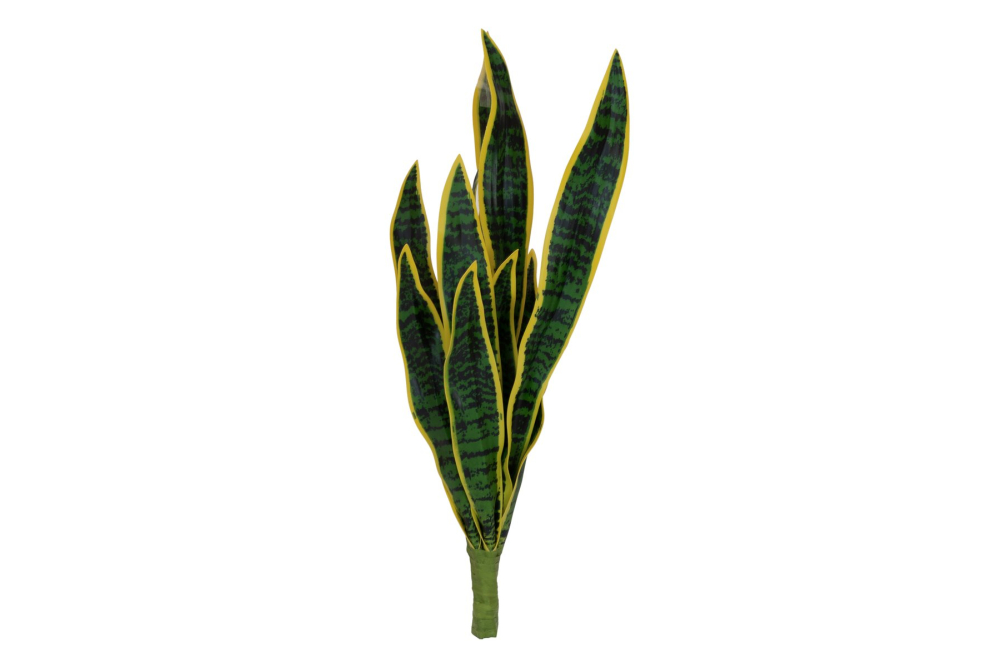 EUROPALMS Bogenhanf (EVA), künstlich, grün-gelb, 60cm