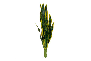 EUROPALMS Bogenhanf (EVA), künstlich, grün-gelb, 60cm