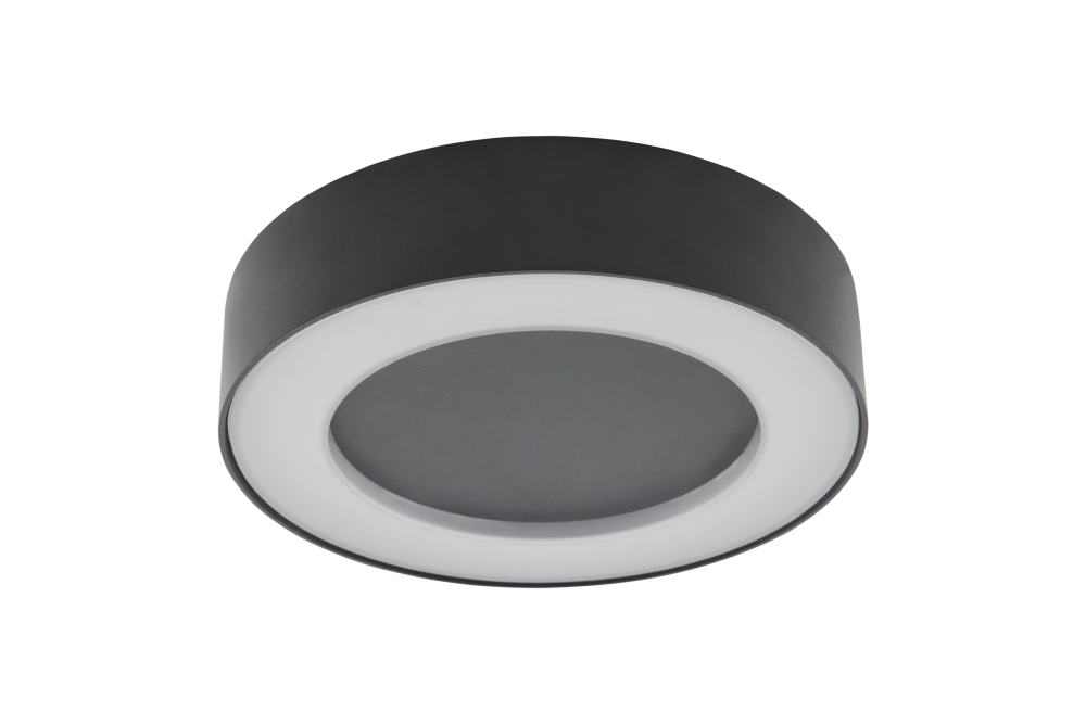 LED-Wandleuchte SLIM RING Ø22cm, 12W, 400lm, warmweiß, 3000K, IP54