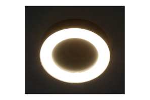 LED-Wandleuchte SLIM RING Ø22cm, 12W, 400lm, warmweiß, 3000K, IP54