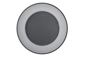 LED-Wandleuchte SLIM RING Ø22cm, 12W, 400lm, warmweiß, 3000K, IP54