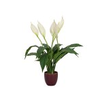 EUROPALMS Einblatt Kunstpflanze im Keramiktopf 60cm