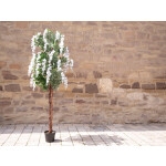 EUROPALMS Goldregenbaum, Kunstpflanze, weiß, 180cm