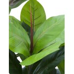 EUROPALMS Gummibaum Kunstpflanze 100cm