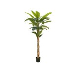 EUROPALMS Bananenbaum Kunstpflanze 210cm