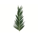 EUROPALMS Künstlicher Kokos-Königspalmwedel 150cm