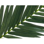 EUROPALMS Künstlicher Kokos-Königspalmwedel 150cm