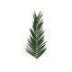 EUROPALMS Künstlicher Kokos-Königspalmwedel 150cm