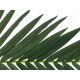 EUROPALMS Künstlicher Kokos-Königspalmwedel 150cm